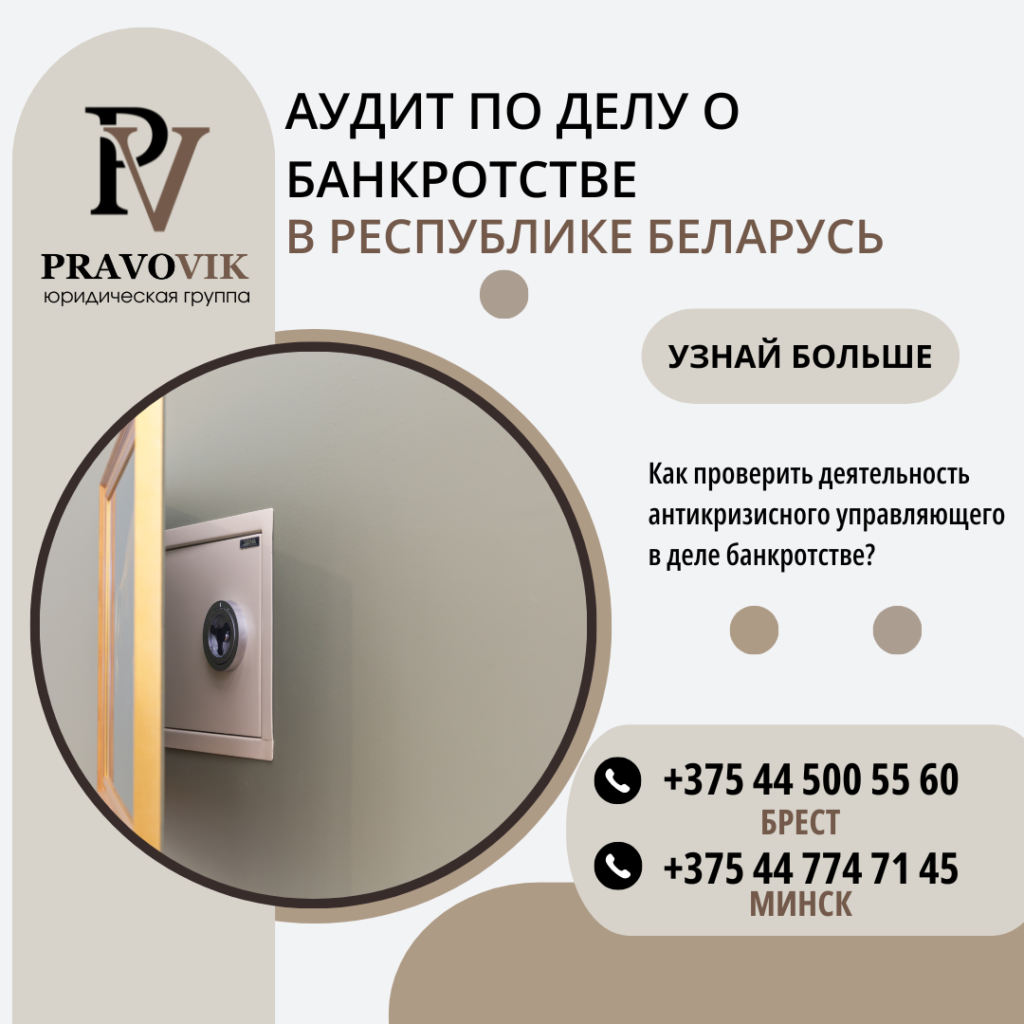 Аудит в деле о банкротстве