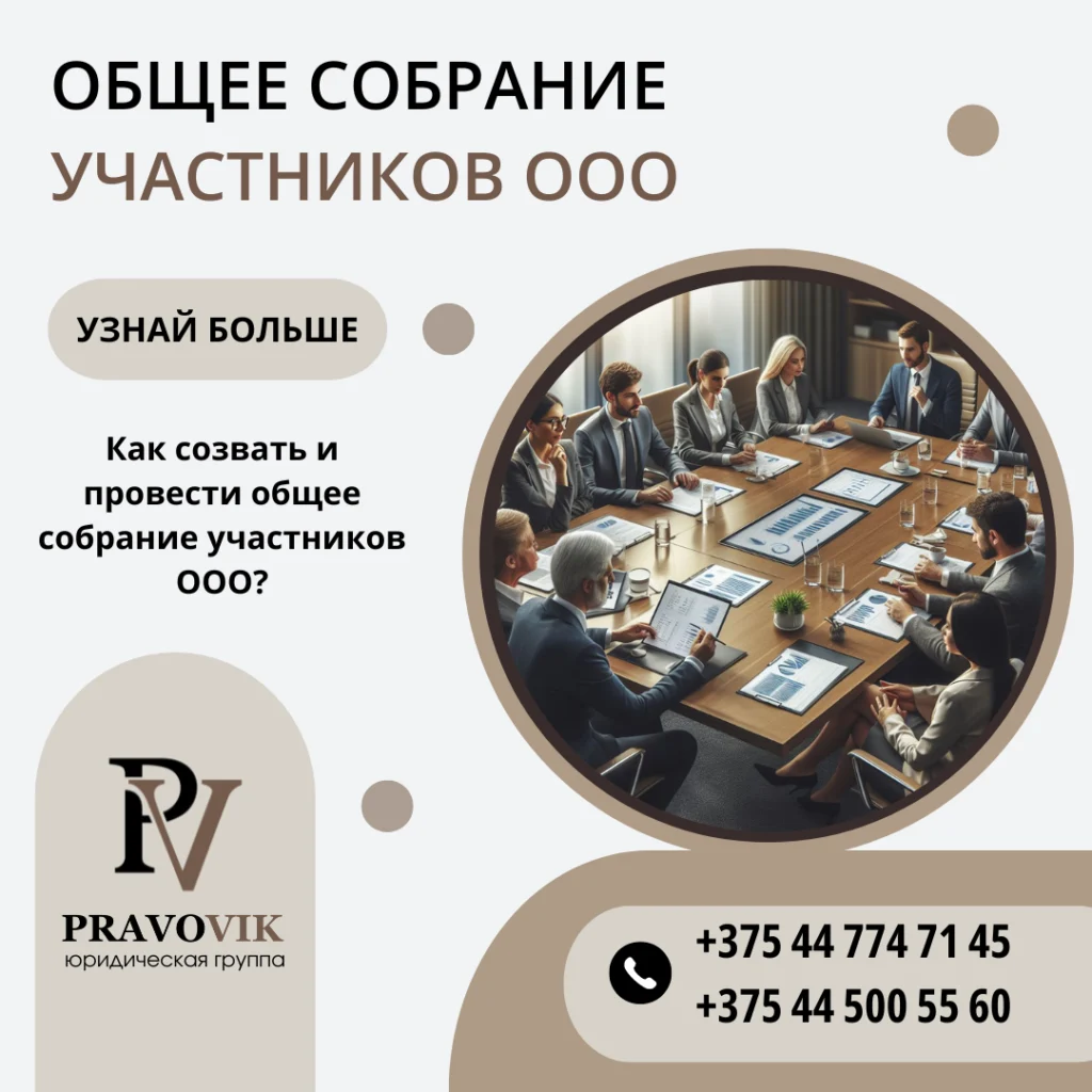 Общее собрание участников ООО